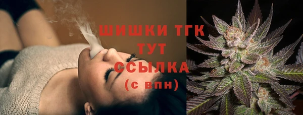 сатива Гусиноозёрск