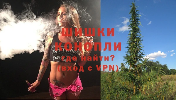 прущие крисы Гусев