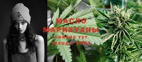 сатива Гусиноозёрск