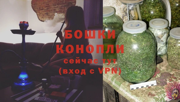 стаф Кострома