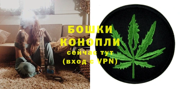 прущие крисы Гусев