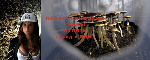 трава Нижневартовск