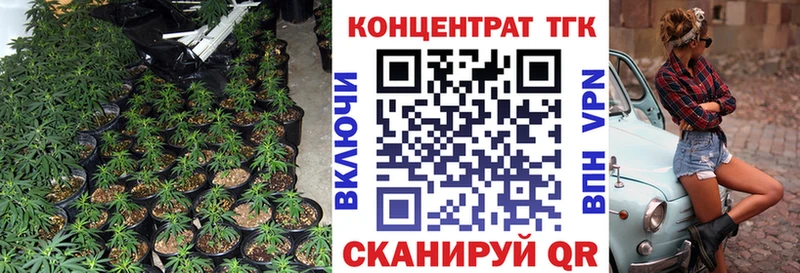 ТГК концентрат  Судак 