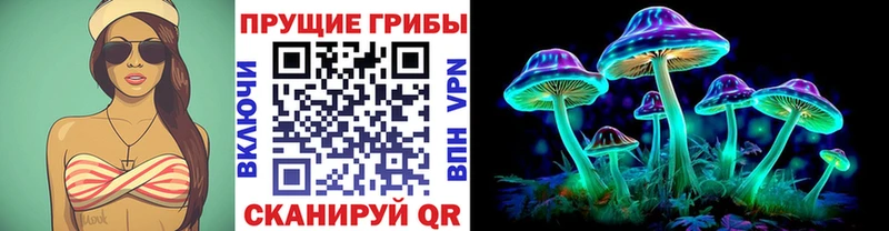 Галлюциногенные грибы Cubensis  продажа наркотиков  Судак 